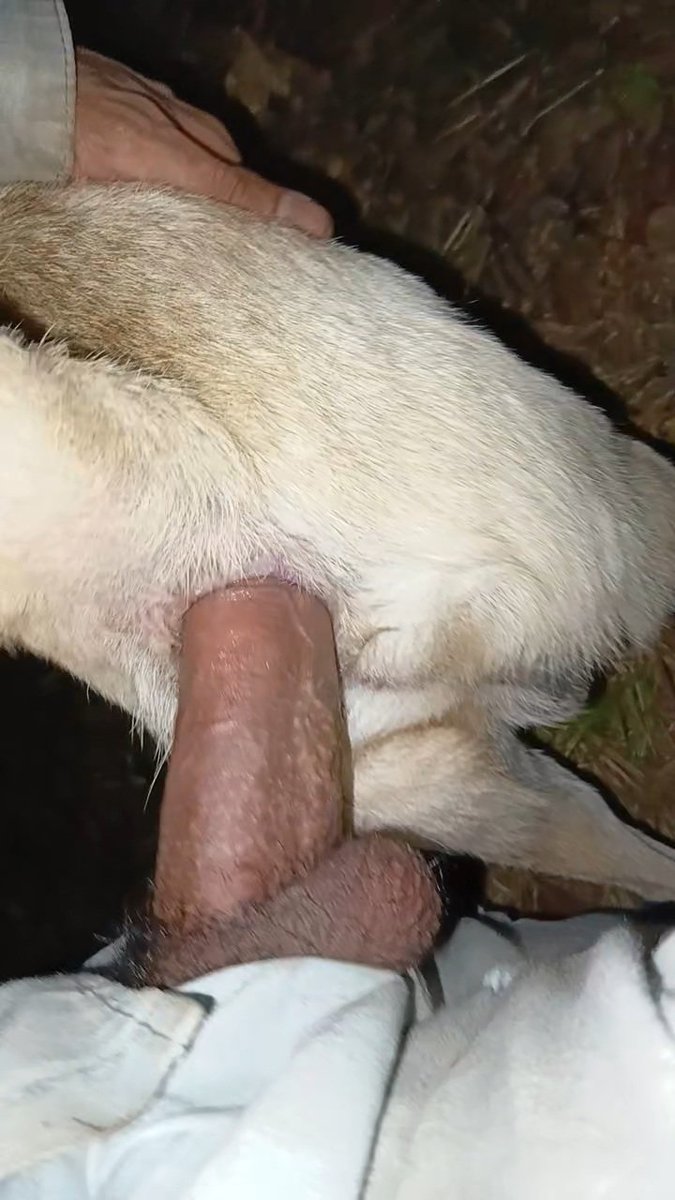 FoxSicixc's tweet photo. Fuck dog https://t.co/Y5qMc2YyCz
Telegram https://t.co/NhisUxiIay
