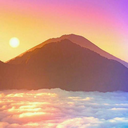 VRN33316283's tweet photo. 🌹 🍄 🧳 👑 🌂 Just tripped in public, played it off like a pro https://t.co/4M0XYJSAlZ