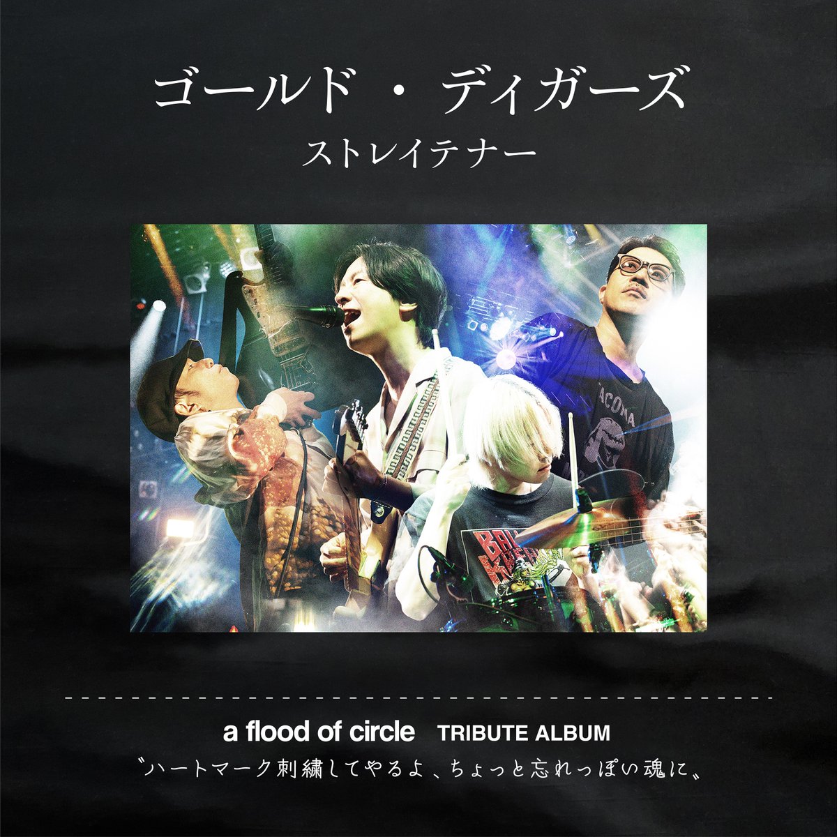 afoc_official's tweet photo. 🪡━━━━━━━━━━━━━━🪡
　a flood of circle TRIBUTE ALBUM

　"ハートマーク刺繍してやるよ、
　　　　　ちょっと忘れっぽい魂に"

　　第5弾アーティスト
　　【ストレイテナー】
　　ゴールド・ディガーズ
🪡━━━━━━━━━━━━━━🪡
#ストレイテナー
@straightenerjp 
#フラッド https://t.co/Bz4G9Wi2T1