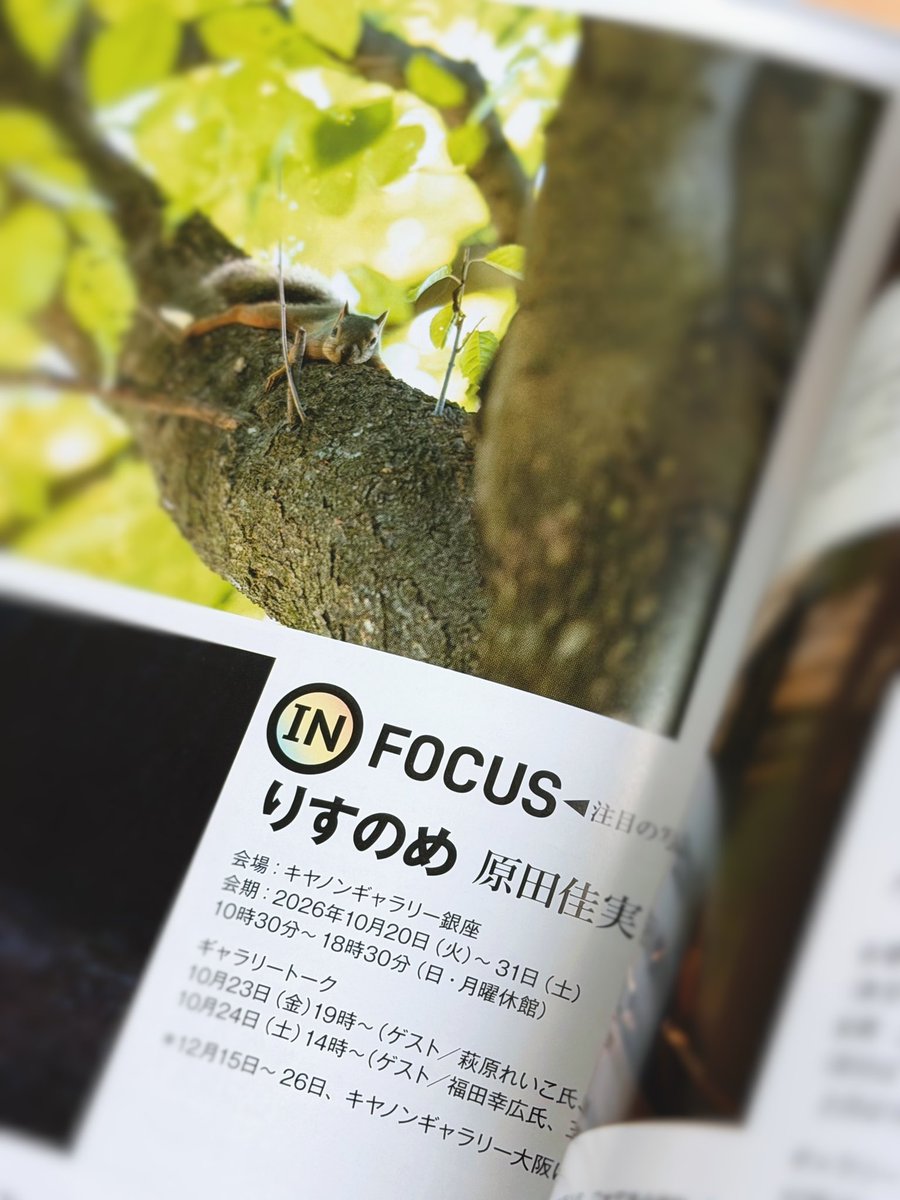 risu_harada's tweet photo. 写真展「りすのめ」まであと３２日となりました。

昨日発売のCAPA１１月号に「りすのめ」を��紹介いただきました。ありがたいお言葉頂戴して��ります、ご覧いただけたら嬉しいです！！

写真展は来月20日からキヤノンギャラリー銀座にて開催です。詳しくは固定ポストをチェックしてくださいね♪ https://t.co/jRmyu3L1Zo