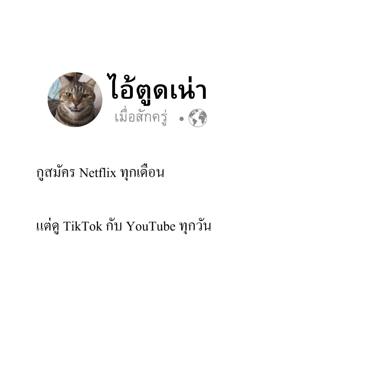 _baeriiiii's tweet photo. สมัครไว้ทำไมก่อน

 #สมัครแต่ไม่ดู #แคปชั่นกวนๆ #สายฮา https://t.co/fTu6lugNo4