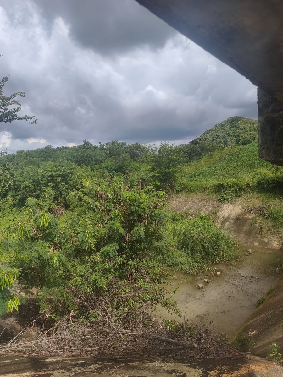 PccTam80957's tweet photo. มีใครชอบแนวเอ้าดอบ้างมั้ยคับ #ปากช่อง https://t.co/5jD70owWPT