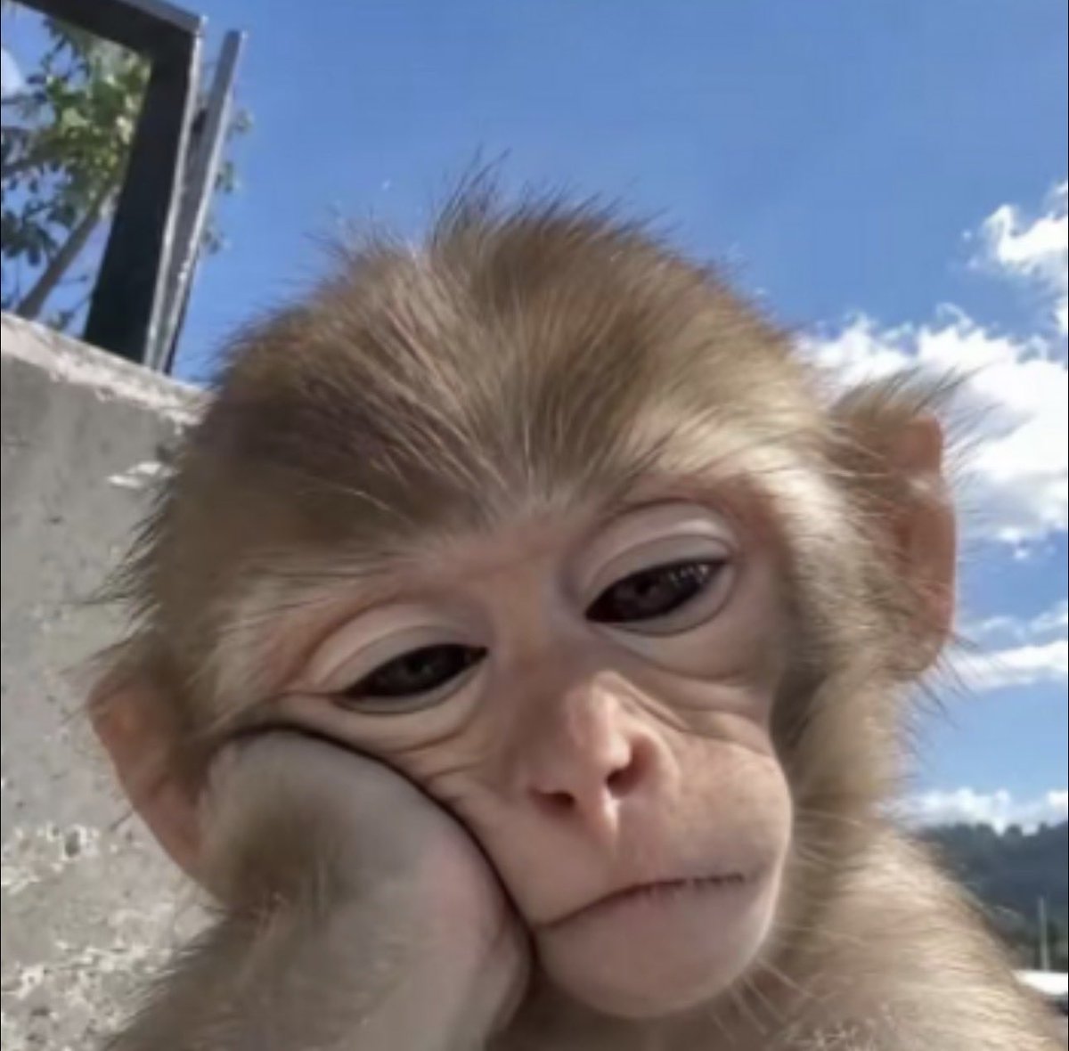 Toby_Leeeeeee's tweet photo. @cz_binance https://t.co/BmjbGkGkwW