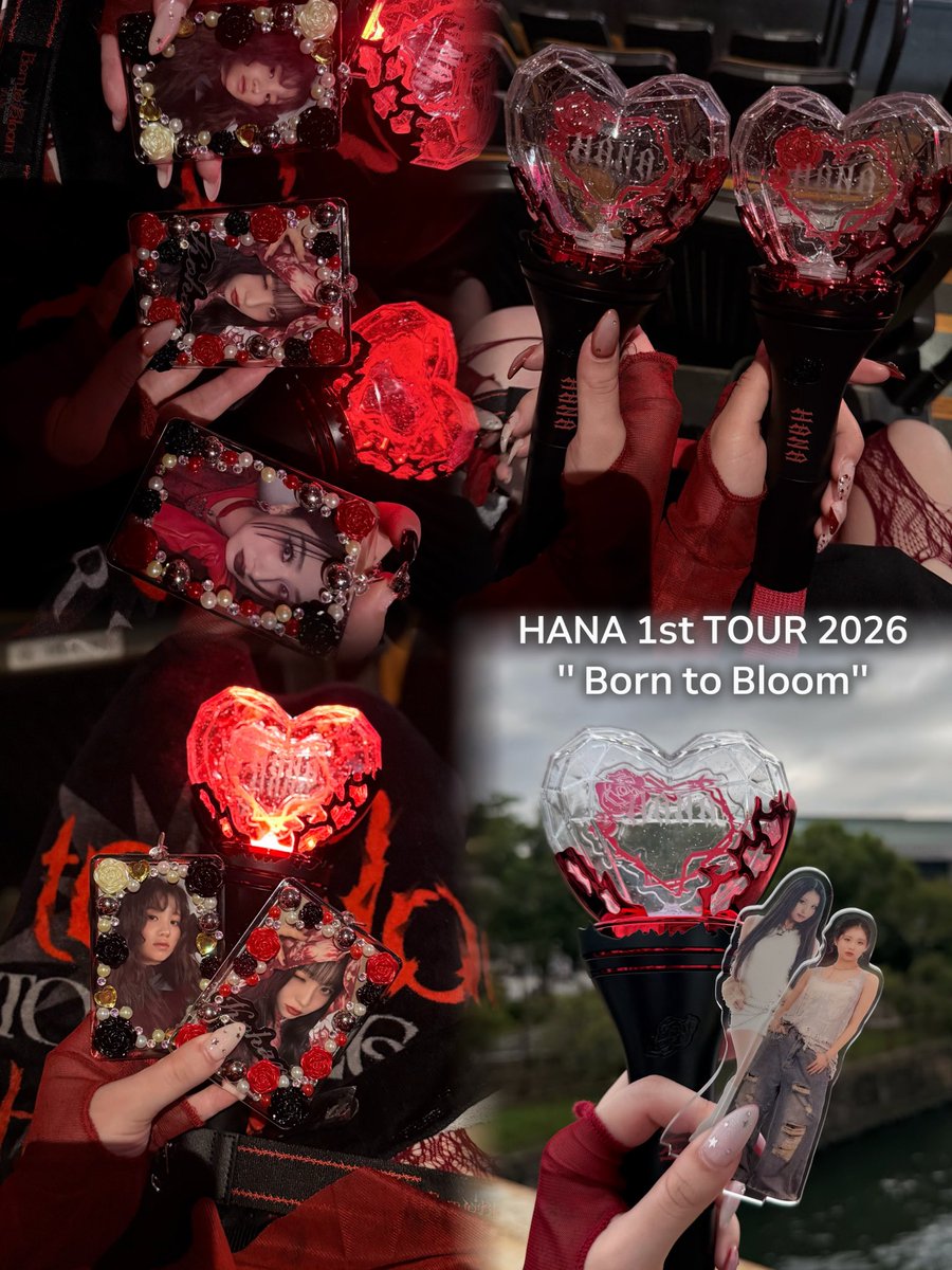 moodboardlunaaa's tweet photo. HANA 1st TOUR 2026
"Born to Bloom" in 大阪城ホール⟡.·*.

最初から最後までALL INなLive🎤✨
Tigerみたいな強さをもらって、My Bodyが限界になるくらい声出して、最後までNON STOPで楽しんだ❤️

ROSEのように美しく開花したHANAが、
これからもっとBloomしていく姿が楽しみ🌹

#HANA #BorntoBloom https://t.co/PQT9HsL06Q