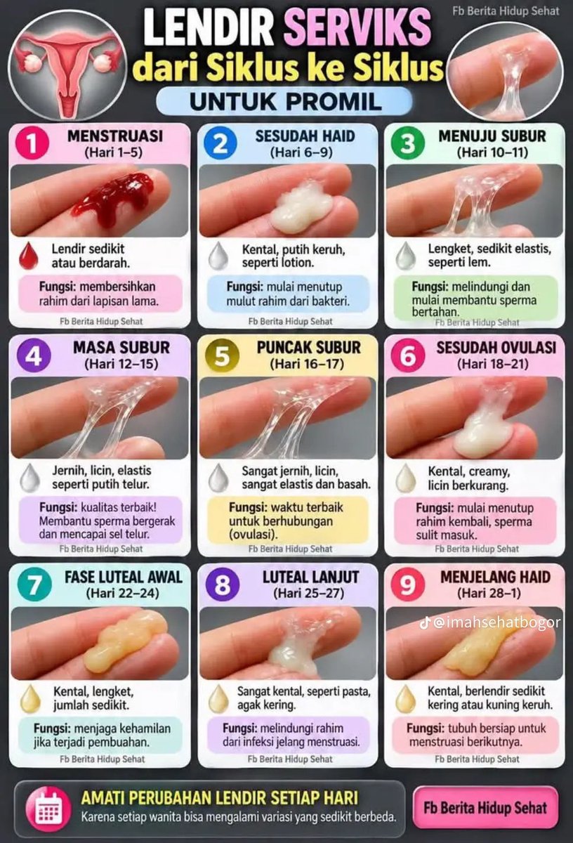 RirisHerlinda's tweet photo. Masa subur itu Panjang waktunya.. https://t.co/FDGro96JEE