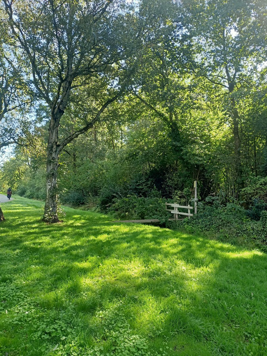 EefvanderLinde's tweet photo. Binnenkort begint de herfst weer. Nu ziet het er op heel veel plekken nog prachtig groen uit! 🌿 https://t.co/s6EkohGA5k