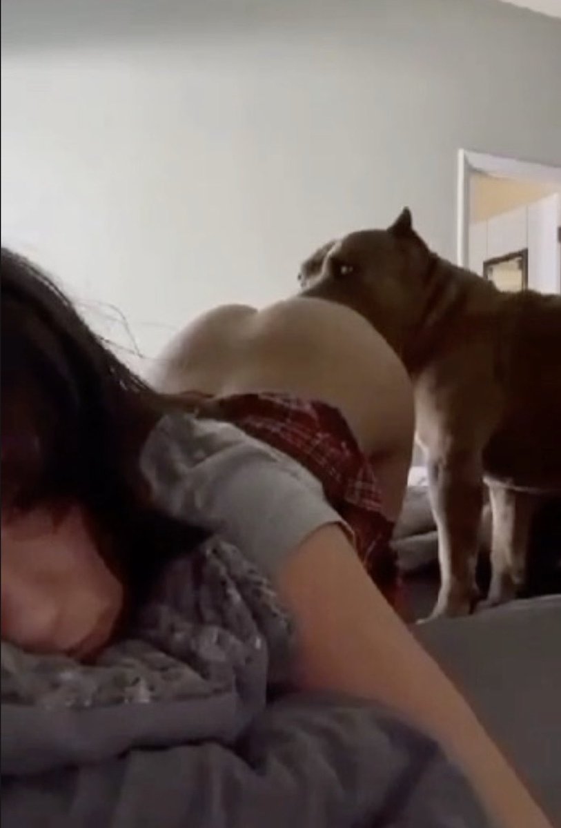 Johnnykentizoo's tweet photo. Welcome my dog lovers ,  It’s a pleasure to have you again . Hold acct busted why all know your zoophile slut 🐶😈😈🔄

#zoo #doggo #horsy #hereforthezooo #incestsisters #k9 https://t.co/ErM4S85sSt