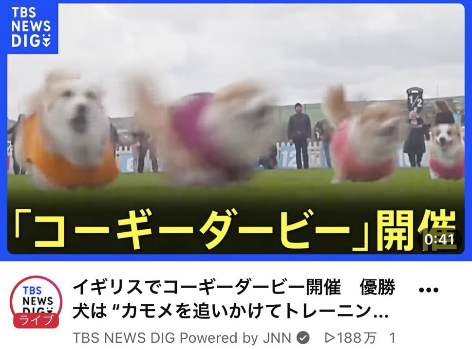 nosuke_darake's tweet photo. いいニュースと悪いニュースがある。いいニュースは https://t.co/2Iwf6lkWid