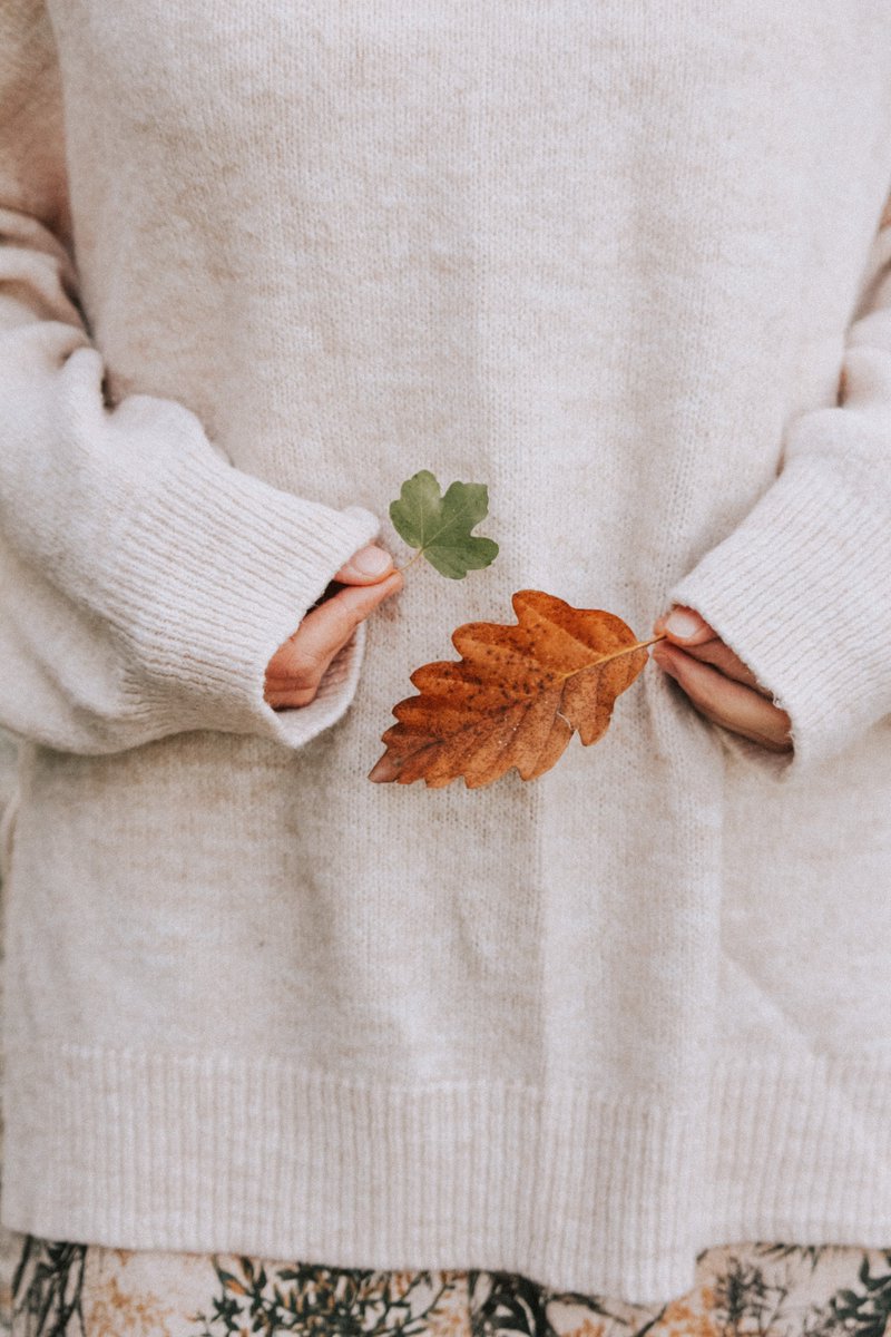 devim231968's tweet photo. Just found the cutest leaf tucked in the pages while folding laundry today — small, cozy wins make the messy chores so worth it. https://t.co/Wk4DOlmb6K