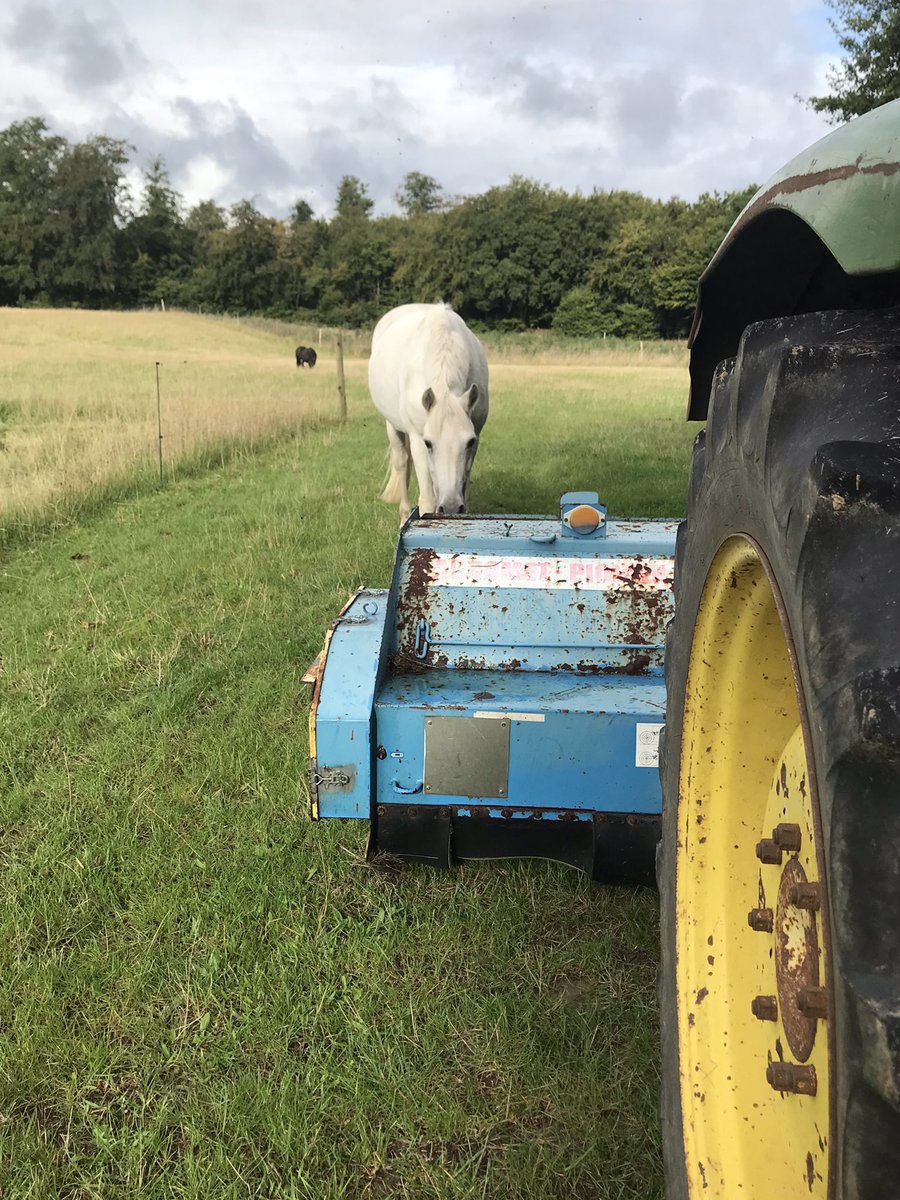shetlandbook's tweet photo. Ok - at least the tractor is a #JonnDeere which is more or less mandatory in our area and it’s even #vintage. 😅 Thanks to our local farm shop for lending us the needed equipment to keep the pasture healthy. 
#ponyhour The #ShetlandPony took no interest whatsoever. No #Surprise https://t.co/33zVCiZv9y
