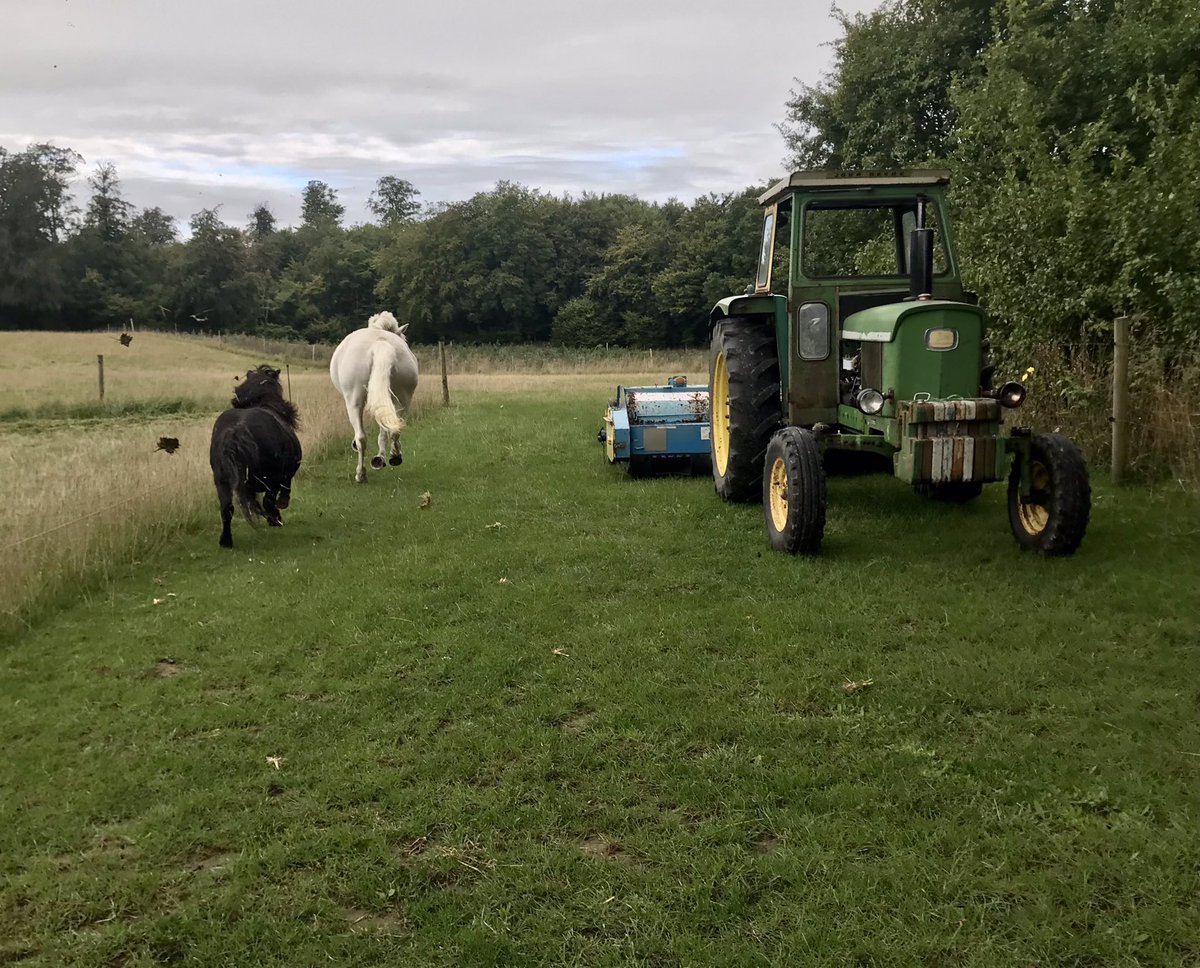 shetlandbook's tweet photo. Ok - at least the tractor is a #JonnDeere which is more or less mandatory in our area and it’s even #vintage. 😅 Thanks to our local farm shop for lending us the needed equipment to keep the pasture healthy. 
#ponyhour The #ShetlandPony took no interest whatsoever. No #Surprise https://t.co/33zVCiZv9y
