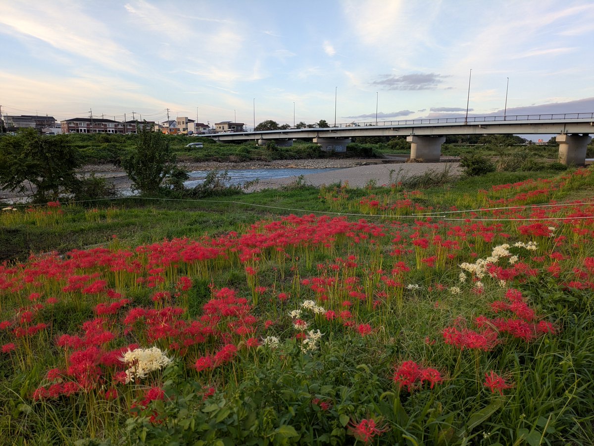 uenodasu's tweet photo. 明日の1000キロのひと見れますよ https://t.co/G3CvezPmxL
