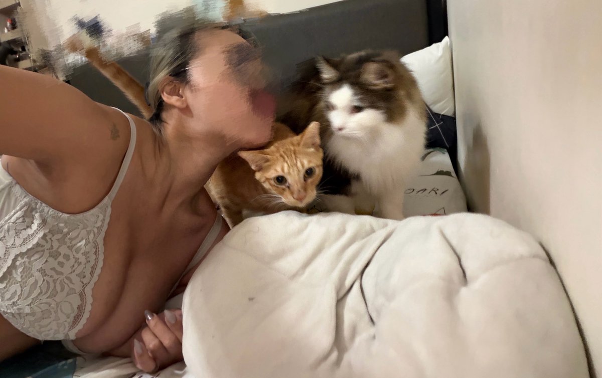 DDFcup0918's tweet photo. 🐈 https://t.co/lqNnKlv6eg