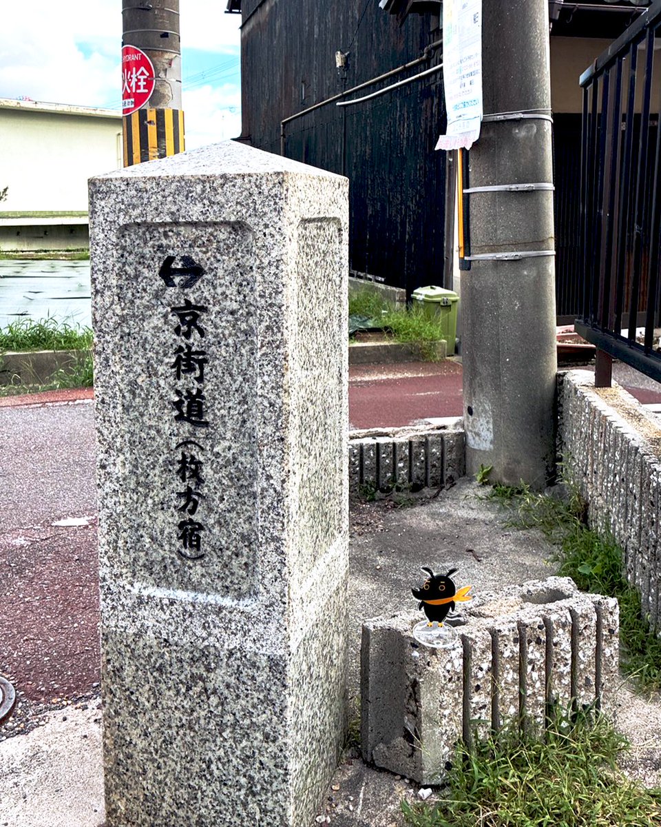 e431kun's tweet photo. eしざいくんたちをさがせ！in枚方宿 その2

#枚方宿 #e431 #企業キャラ #eしざいくん #サイ https://t.co/TjLdwjc906