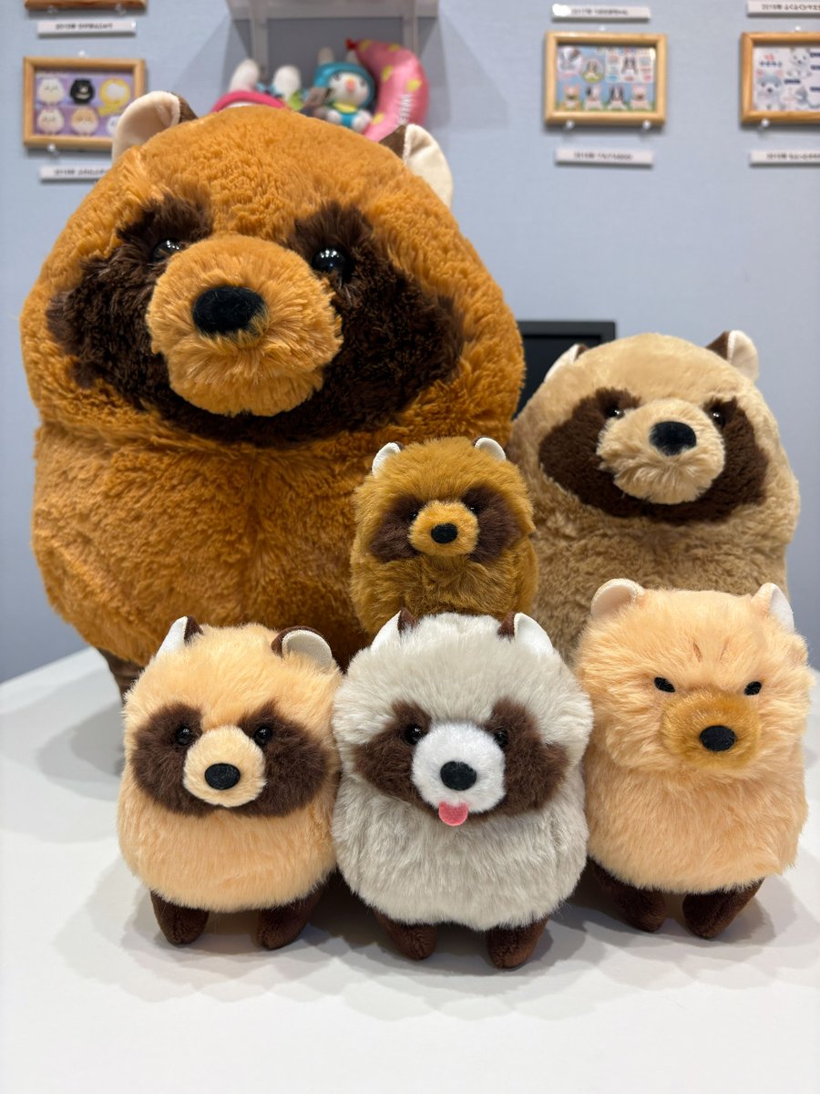 AMUSE_japan's tweet photo. 「今日は秋分の日です。
たぬき一同、おいもをいっぱい食べたいです。」

#たぬぽんぽん https://t.co/fC2LzoTHpX