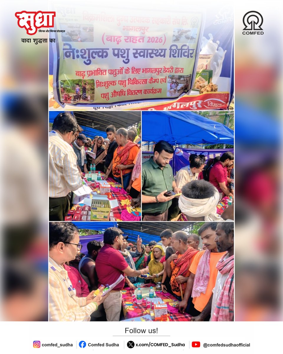 COMFED_Sudha's tweet photo. दिनांक: 16 सितंबर 2026
बाढ़ प्रभावित पशुओं के लिए भागलपुर डेयरी ने लगाया निःशुल्क पशु चिकित्सा शिविर
#comfed #sudha #BhagalpurDairy #VIMUL https://t.co/v5nVvxGksN