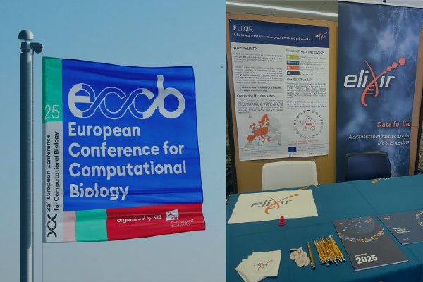 ELIXIREurope's tweet photo. From 31 Aug to 4 Sept 2026, ELIXIR was in Geneva🇨🇭, for #ECCB2026, organised by @ISBSIB (#ELIXIR_Switzerland). 
🙌 ELIXIR contributed a track programme, a poster track, ELIXIR Node-led workshops and tutorials, and a booth.
Read the news 👉 https://t.co/yvR6FEti1r https://t.co/EViE4y475F