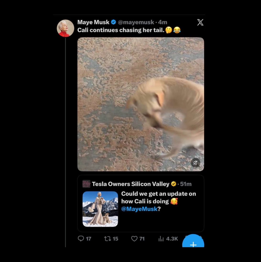 WhaleInsider's tweet photo. JUST IN: Maye Musk, Elon Musk’s mother, is actively engaging with the memecoin created for her dog $CALI. https://t.co/Hj3yumDnmq