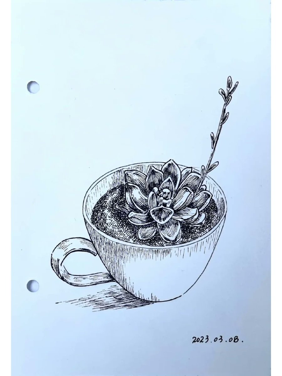 cindg030235's tweet photo. Want to pick up a fun new hobby this week Start sketching simple plants—no experience needed! It’s stress-free, creative, and you’ll get a little nice thing to show for it. Try 10 mins a day and you’ll be hooked soon https://t.co/1PyxomWKXH