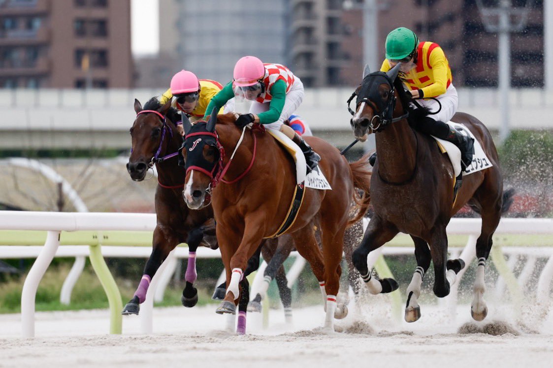 realdabista2525's tweet photo. 大井競馬 第2レースに出走した #シャインブラスト は2着でした
1年ぶりの出走にもかかわらず先団に取り付き直前では一旦先頭に立ちました

一度使ったことで次はさらに上向くはずです！
引き続きシャインブラストの応援よろしくお願いいたします！

#リアルダビスタ https://t.co/3a2pawPU4u
