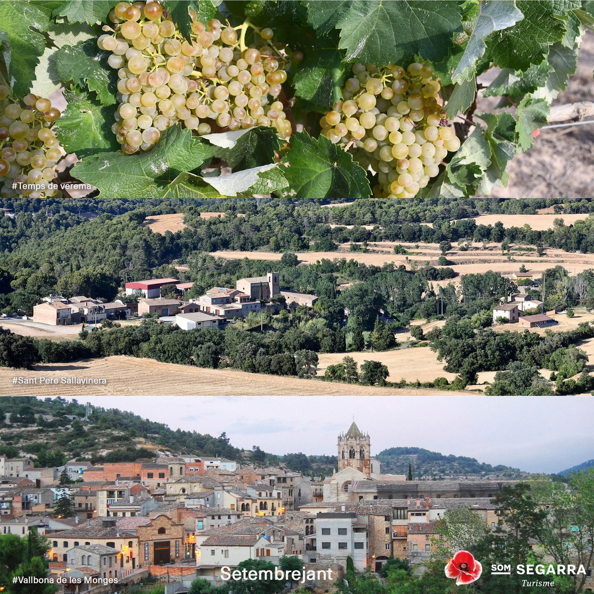 SomSegarra's tweet photo. Sense plans per al cap de setmana? #festesmajors #isagoge #aplec #festivals #concerts #teatre #gegants #caminada #expos i #visites , viu l' #estiusegarra!
@lasegarra @paeriacervera @brufaganya @valldellobregos @TurismeGuissona @CConcabella
@Espitllera
ℹ️ https://t.co/8ZHEiD1Ad2 https://t.co/47KaVIKSG0