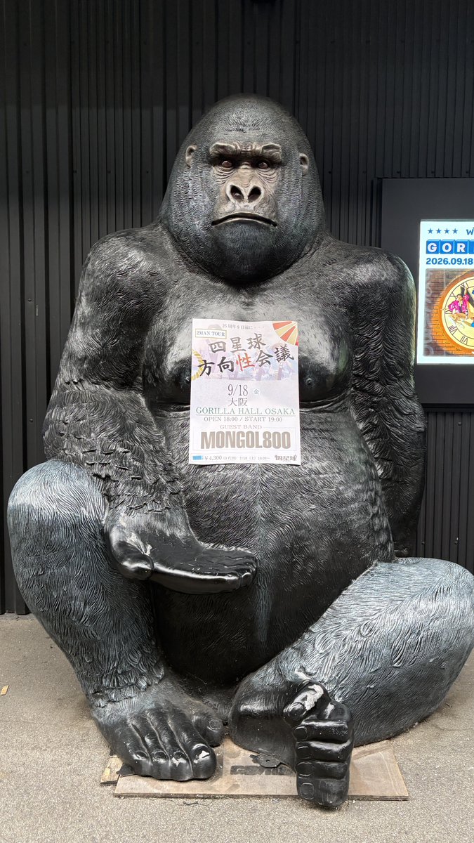 kobaltblaue's tweet photo. ほんこち🌟🦍 https://t.co/yHYDTn8jEp