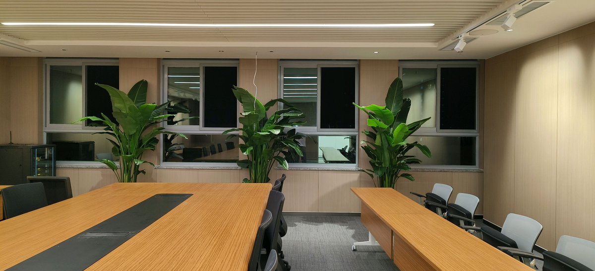 windg778421's tweet photo. Spent 10 mins presenting to the conference room plant today. It gave exactly zero feedback but still beat the last intern who fell asleep mid-update. Win-win https://t.co/NlF02hQWkS