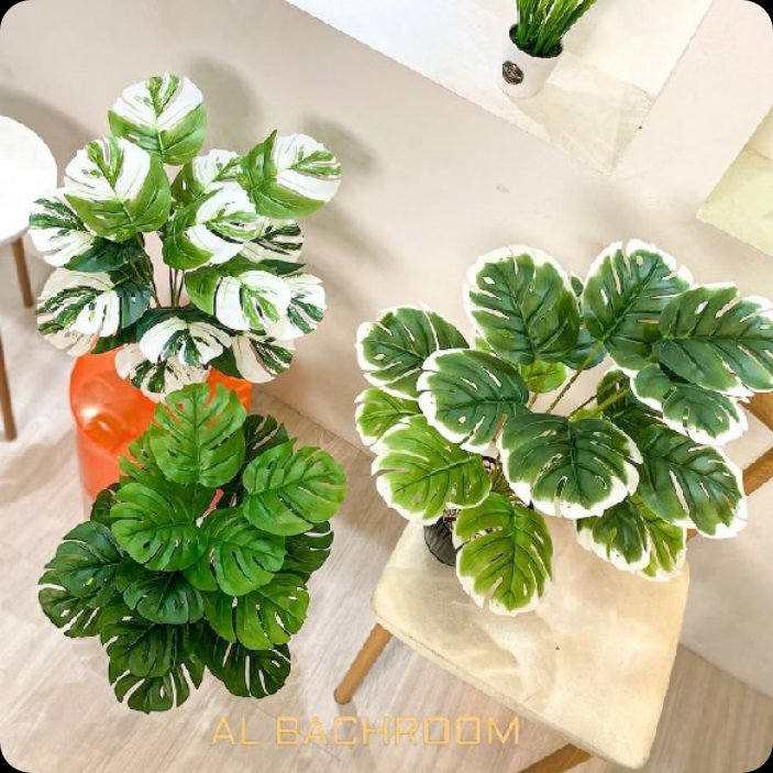 lkrstlk's tweet photo. Semenjak beli tanaman plastik ini, kamar kosong keliatan lebih seger gitu enak diliatnya🥰
Ternyata harganya worth it disini👇🏻
https://t.co/DGhEdWwqw3 https://t.co/iQ0GIgDOw9