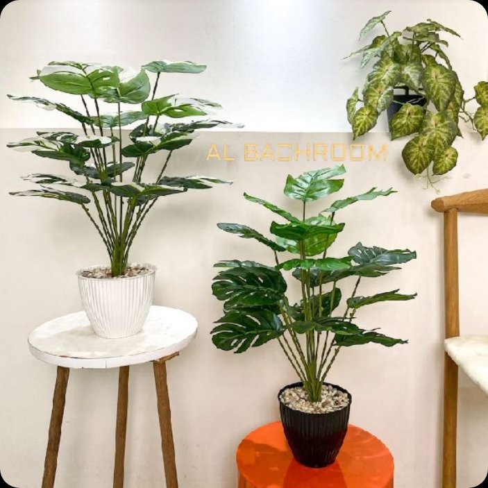 lkrstlk's tweet photo. Semenjak beli tanaman plastik ini, kamar kosong keliatan lebih seger gitu enak diliatnya🥰
Ternyata harganya worth it disini👇🏻
https://t.co/DGhEdWwqw3 https://t.co/iQ0GIgDOw9