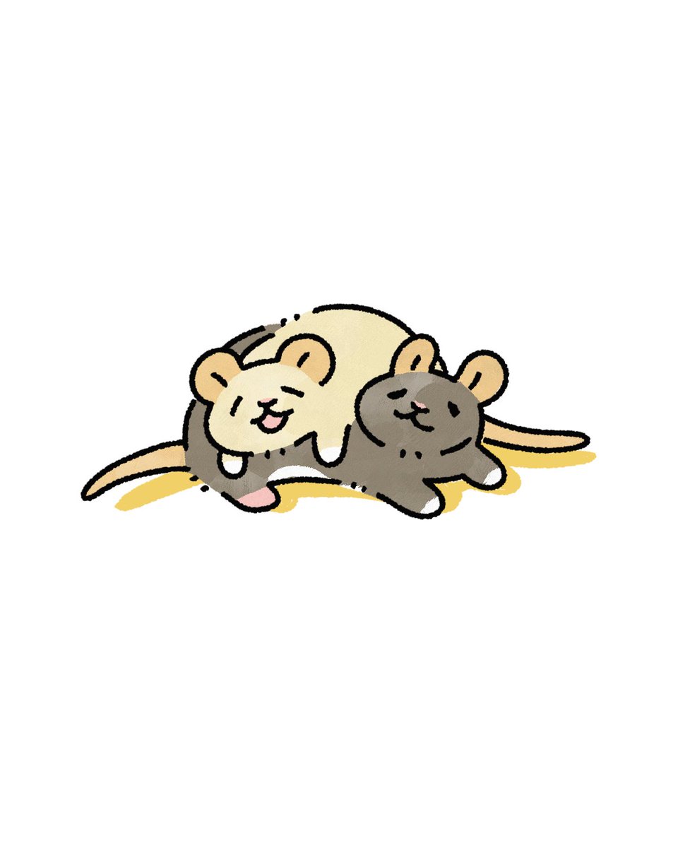 fancy_na_rat's tweet photo. ゆるゆるごろごろ🐀🐀
#ファンシーラット https://t.co/Klcp0WpJjn
