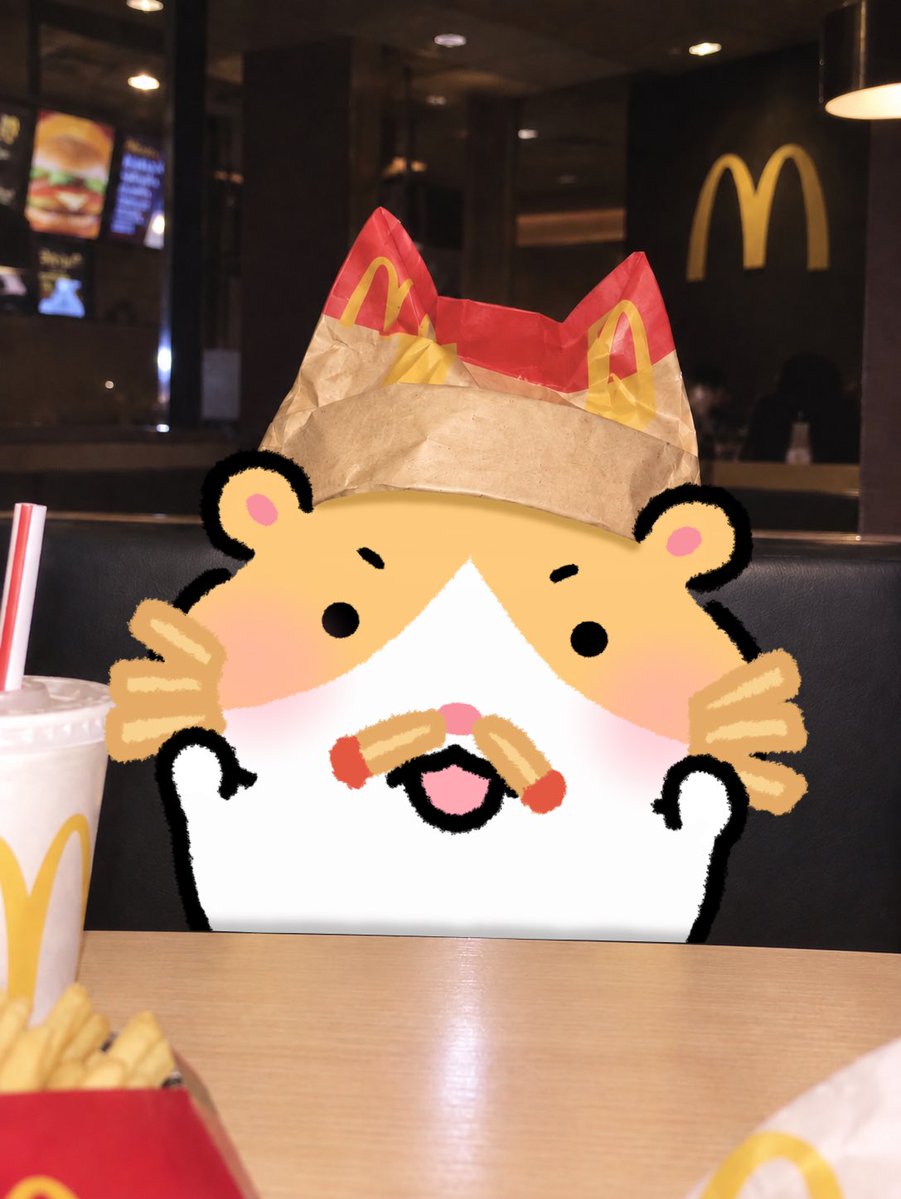 hambogi_ne's tweet photo. 🍟감튀 고양이샷 햄보기네🐈 https://t.co/KlRd4sfKXN