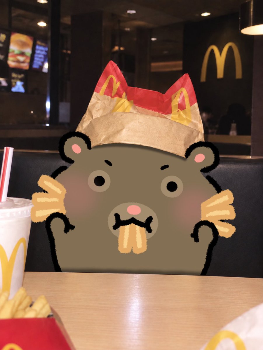 hambogi_ne's tweet photo. 🍟감튀 고양이샷 햄보기네🐈 https://t.co/KlRd4sfKXN