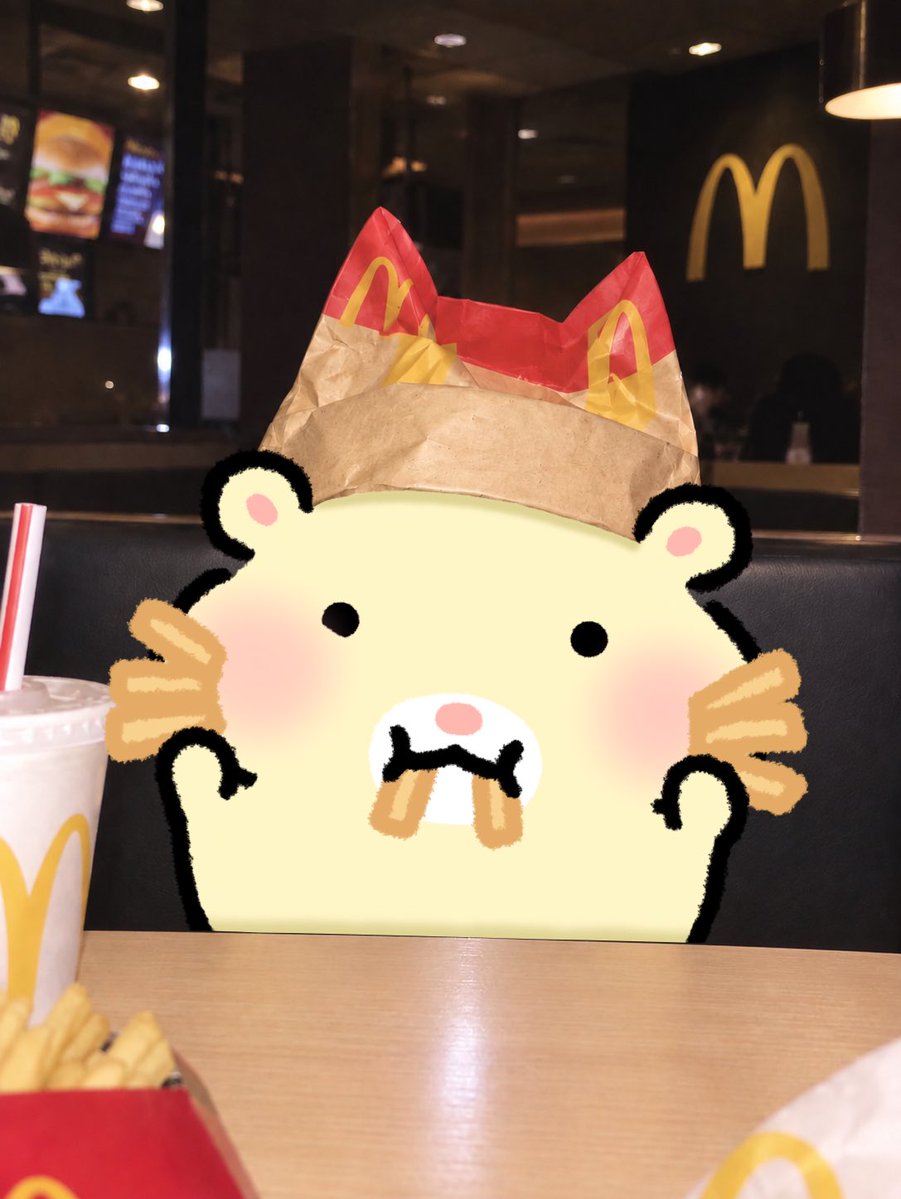 hambogi_ne's tweet photo. 🍟감튀 고양이샷 햄보기네🐈 https://t.co/KlRd4sfKXN