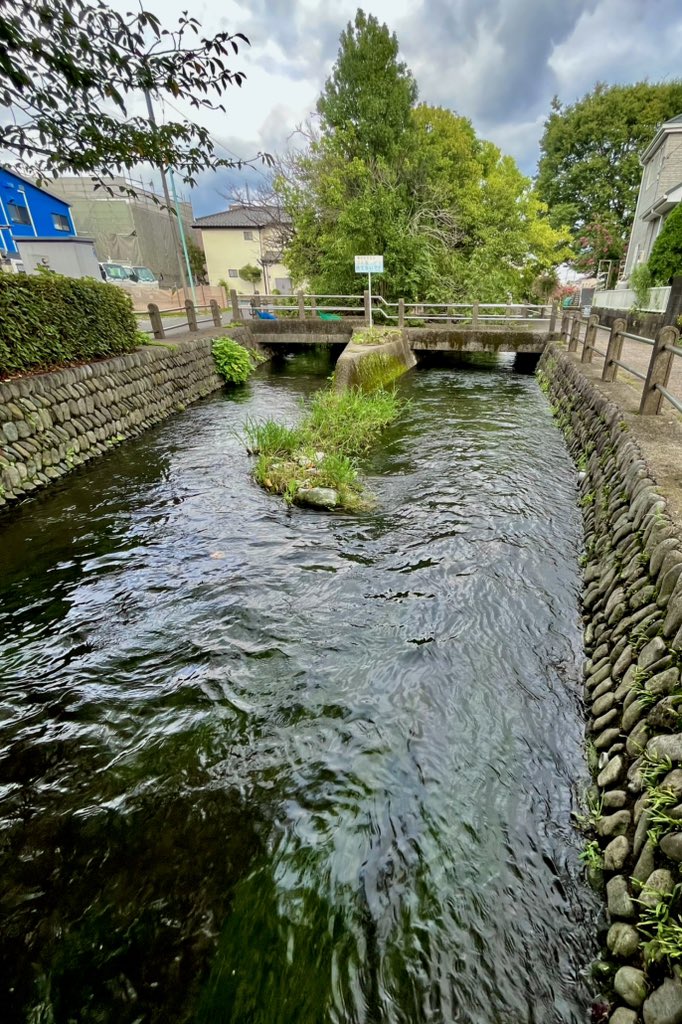frog_frog's tweet photo. 大丸用水
押立用水堀と菅堀の分岐点
〔稲城市〕 https://t.co/Usg8esNgAQ