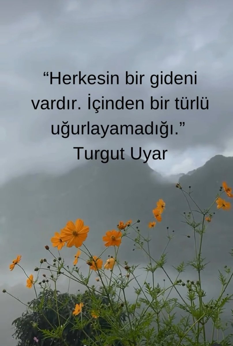 YakHatice's tweet photo. https://t.co/GoqsDilu3P