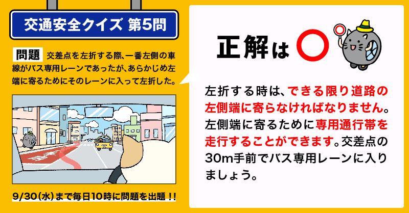 Link preview