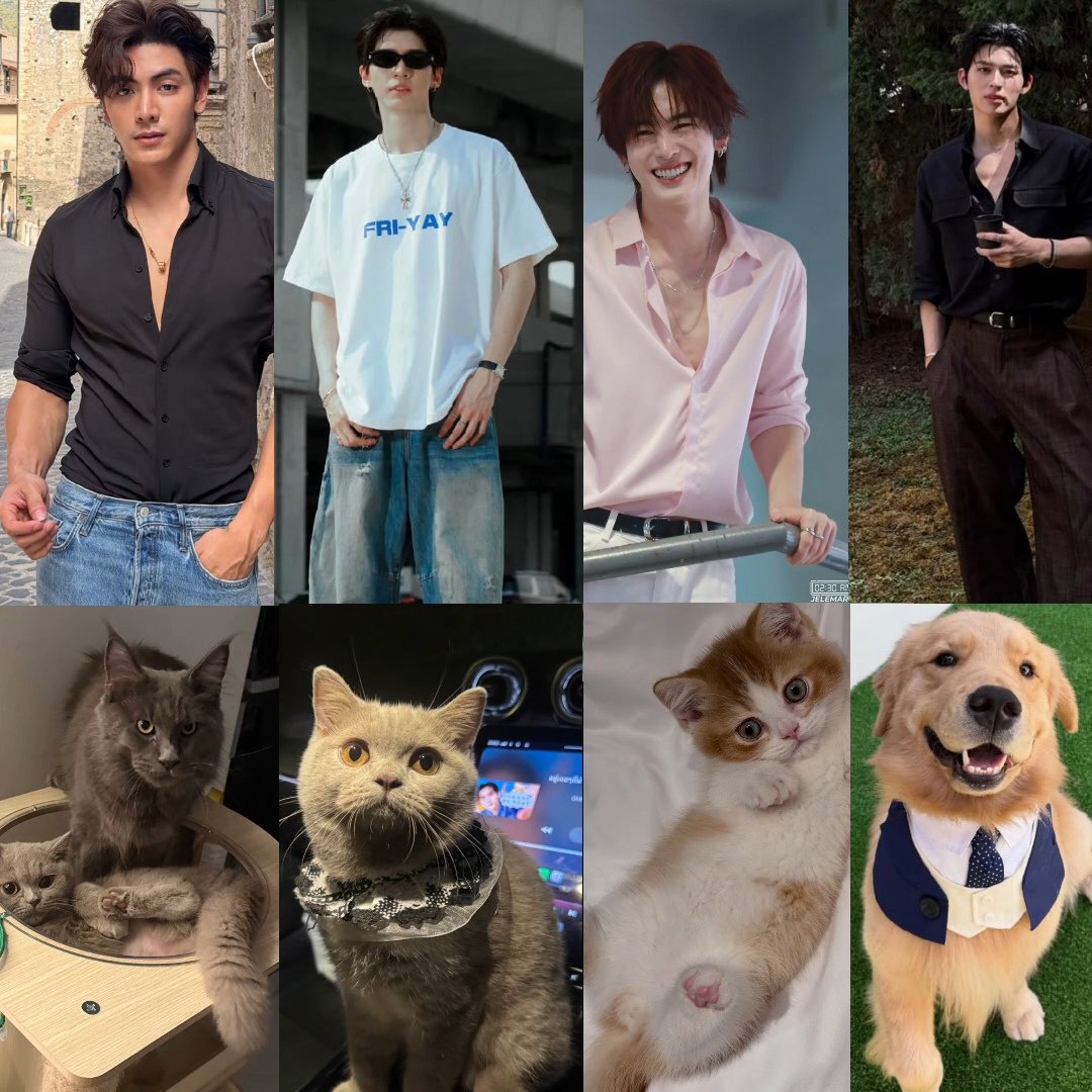FAH8071's tweet photo. เมื่อJASPERเลี้ยงสัตว์ดูก็รู้เลยใครน้องเล็กของวง😆

          J                    A                     s                   P https://t.co/D9ECYab3PE