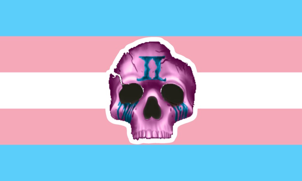 SlendyRebornPC2's tweet photo. Flag for trans people that really love Pillar Chase https://t.co/zqClc7MGN2
