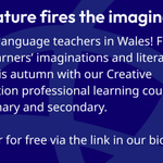 Photo by Multilingual Mentoring Cymru (@ML_Mentoring)
