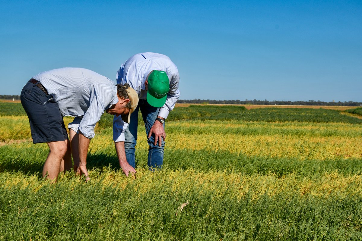 theGRDC's tweet photo. A great week across Central Queensland with the GRDC Northern Panel’s Spring Tour from 8-10 September!
Hearing directly from growers and visiting projects that have come about through National Grower Network feedback, including canola and carinata trials.
#NorthernPanel #GRDC #CentralQueensland