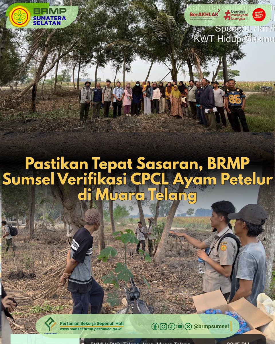 brmpsumsel's tweet photo. BRMP Sumatera Selatan melakukan verifikasi CPCL bantuan pemerintah ayam petelur terhadap KWT Hidup Makmur di Kecamatan Muara Telang, Kabupaten Banyuasin. Verifikasi untuk memastikan calon penerima dan lokasi bantuan memenuhi persyaratan serta bantuan disalurkan secara tepat. https://t.co/YwCKRQjg2E