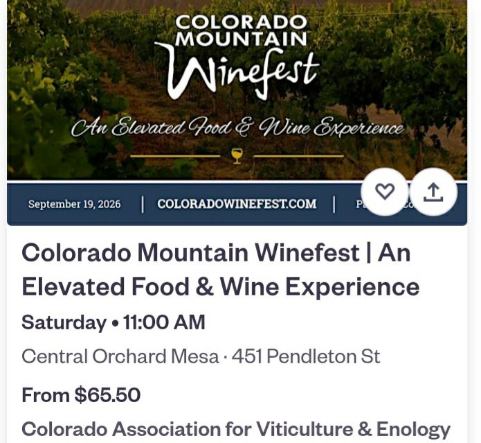 SandraA18878's tweet photo. It's time for Colorado wine festival!!!
Let gets together ❤ there 
Saturday.11:00am sharp
Central Orchard mesa.451 pendleton 
65 dollars per ticket 🎟 
Dm @TICKETMASTER10  on Xtwitter 
Already get mine!!! 

Including Buffalo Cigar festival 
Same Saturday. 12:00pm sharp
$82 tkt https://t.co/H4SD6GeZx5