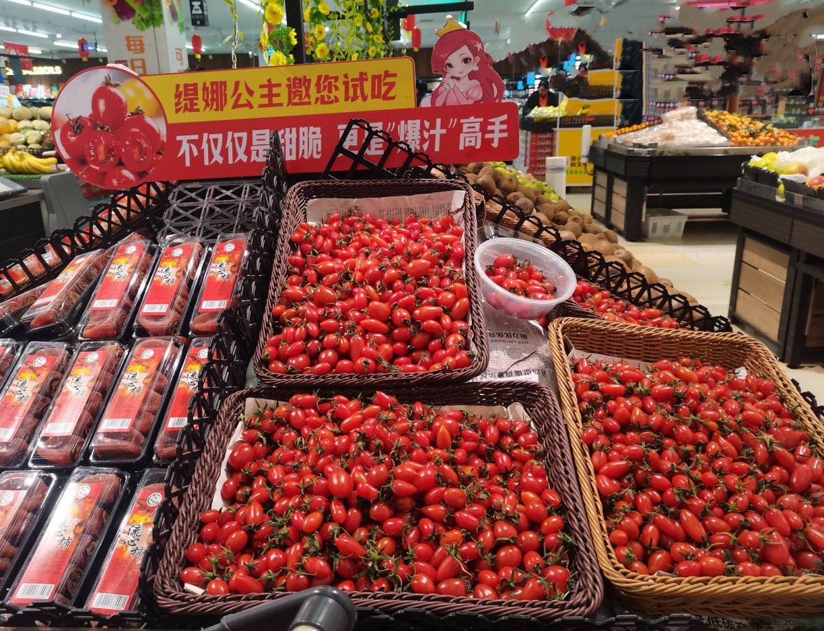 clovi264938's tweet photo. Fresh organic cherry tomatoes u0026 basil just arrived at the local farmers' market! Perfect for a quick caprese salad tonight. Grab yours before they sell out!， https://t.co/vWtkWF9wVi