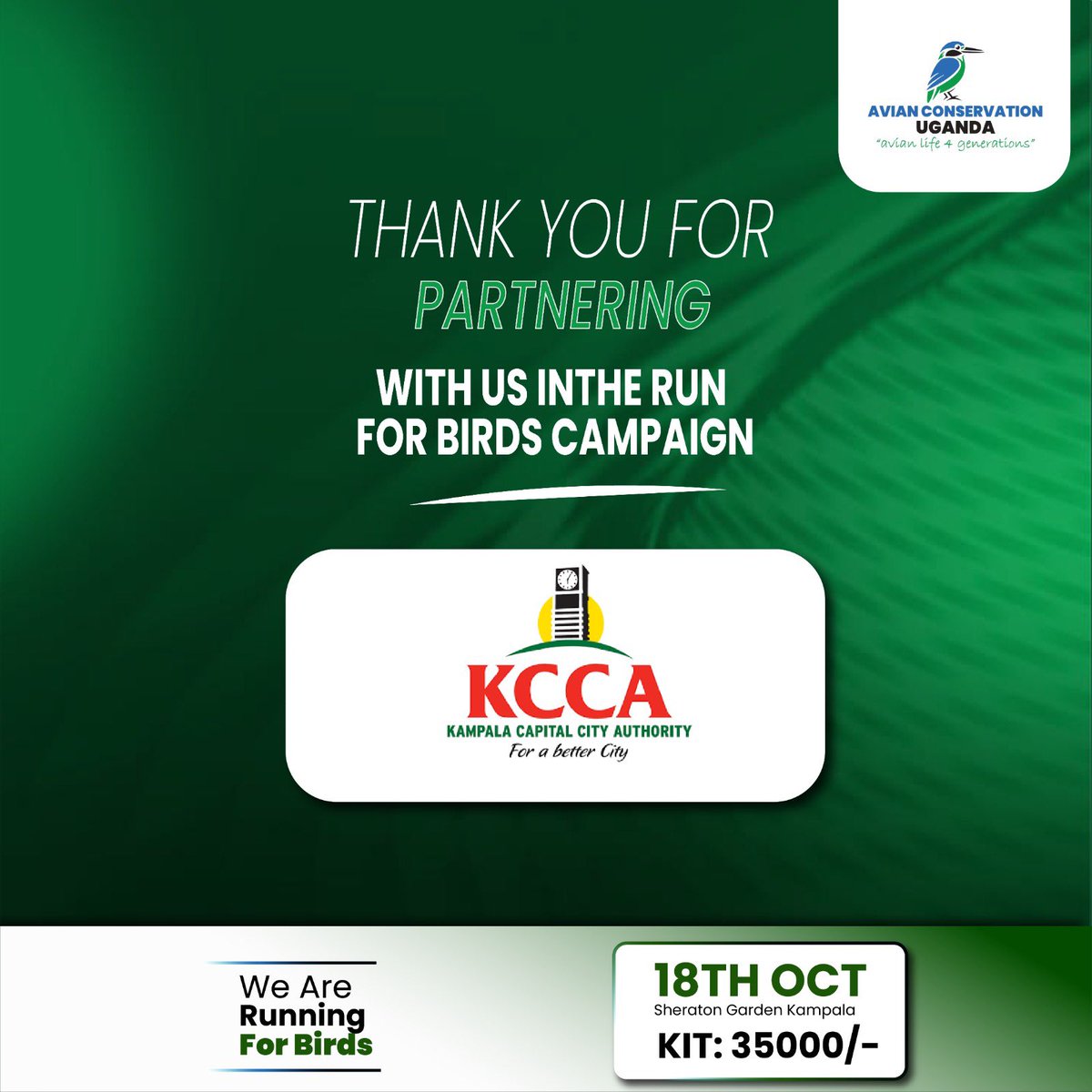 acus_uganda's tweet photo. PARTNERSHIP HIGHLIGHT | KCCA

We are delighted to have Kampala Capital City Authority @KCCAUG supporting Run for Birds 2026, as we bring conservation awareness into the heart of Kampala.

This year’s Run shines a spotlight on the Grey Crowned Crane, Uganda’s national bird, and the urgent need to safeguard its future and habitats.

Be part of the movement on 18 October 2026 at Sheraton Gardens, Kampala.

Get your kit at UGX 35,000 and register via 0794 674 406 | 0775 255 124.

Thank you, KCCA, for joining hands with us for Uganda’s birdlife.

#RunForBirds2026 #GreyCrownedCrane #AvianConservationUganda
