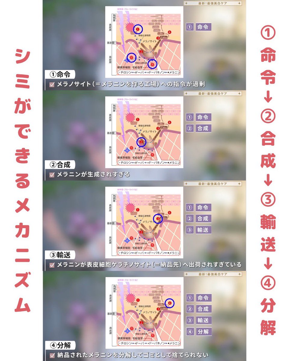 urutsuyachan's tweet photo. シミに悩んでる人必見...‼️
さきめぐさんのYoutubeが分かりやすすぎて、まとめたから絶対見て👀 https://t.co/9RTz42gfvQ