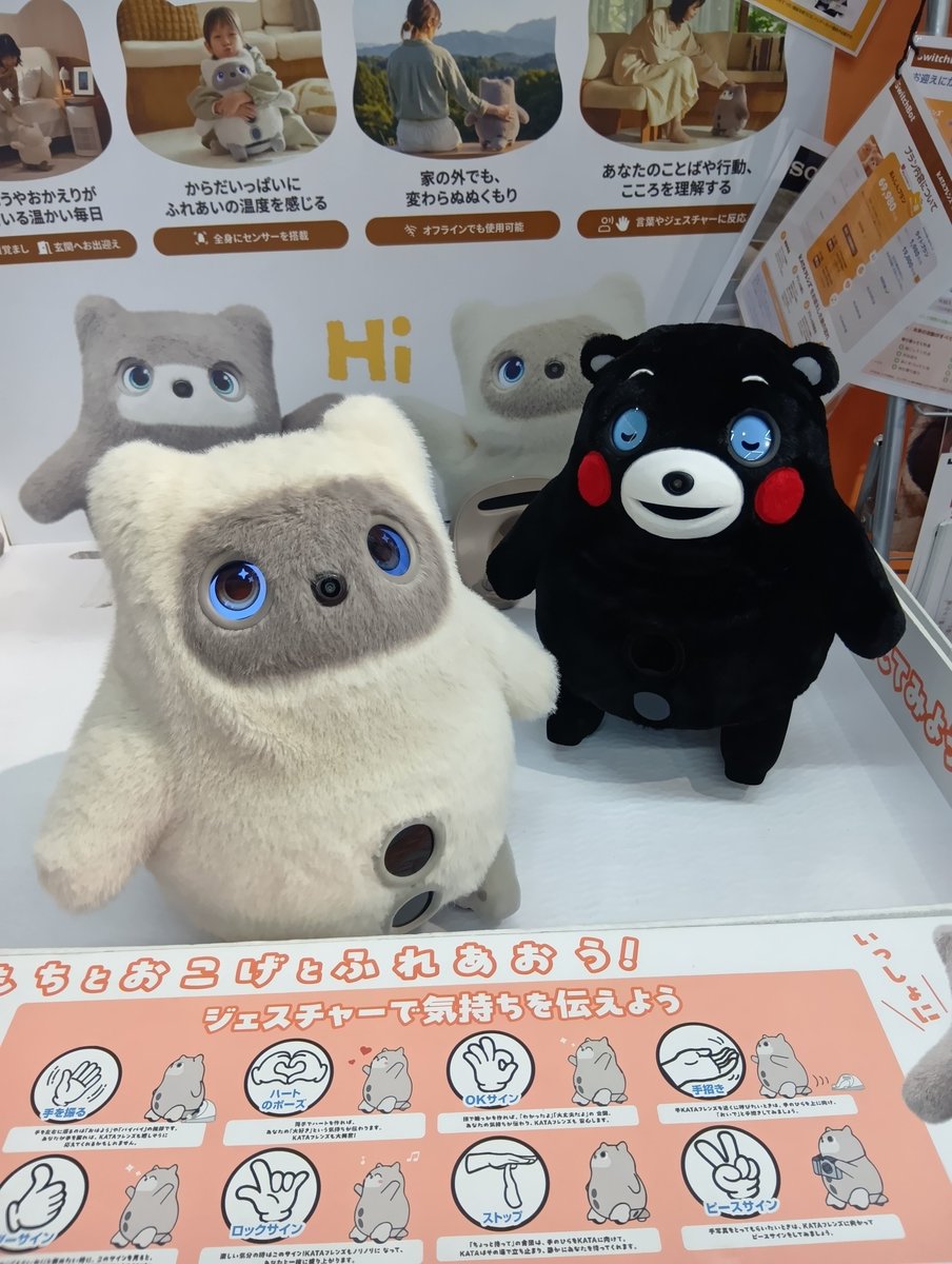 edion_namba's tweet photo. KATAフレンズにくまもんバージョンが
でたと言われていましたが⋯
おるやん✨
おもちは活発ですが
くまもんはマイペース🥰
くまもんの肌触りが柔らかめで
心地いいです😆 https://t.co/UdCbPa7rj9