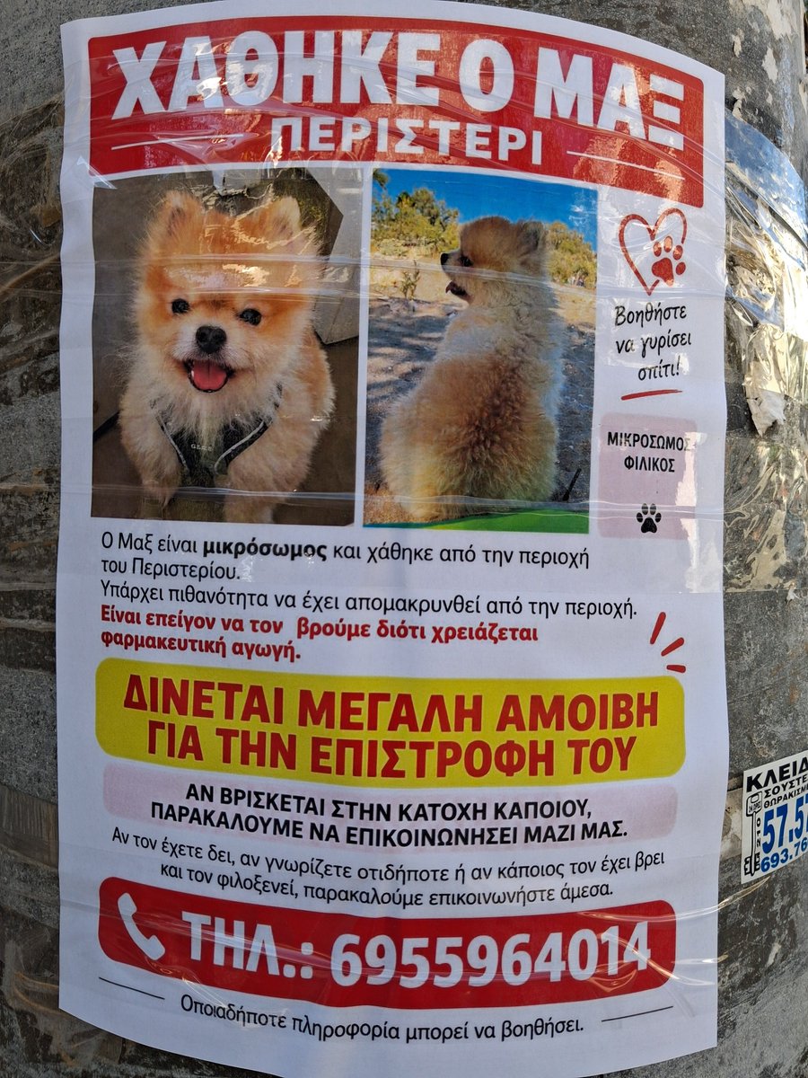 nisafi2008's tweet photo. Περιστέρι, χάθηκε ο Μαξ.. https://t.co/WXXrPu8Uf1