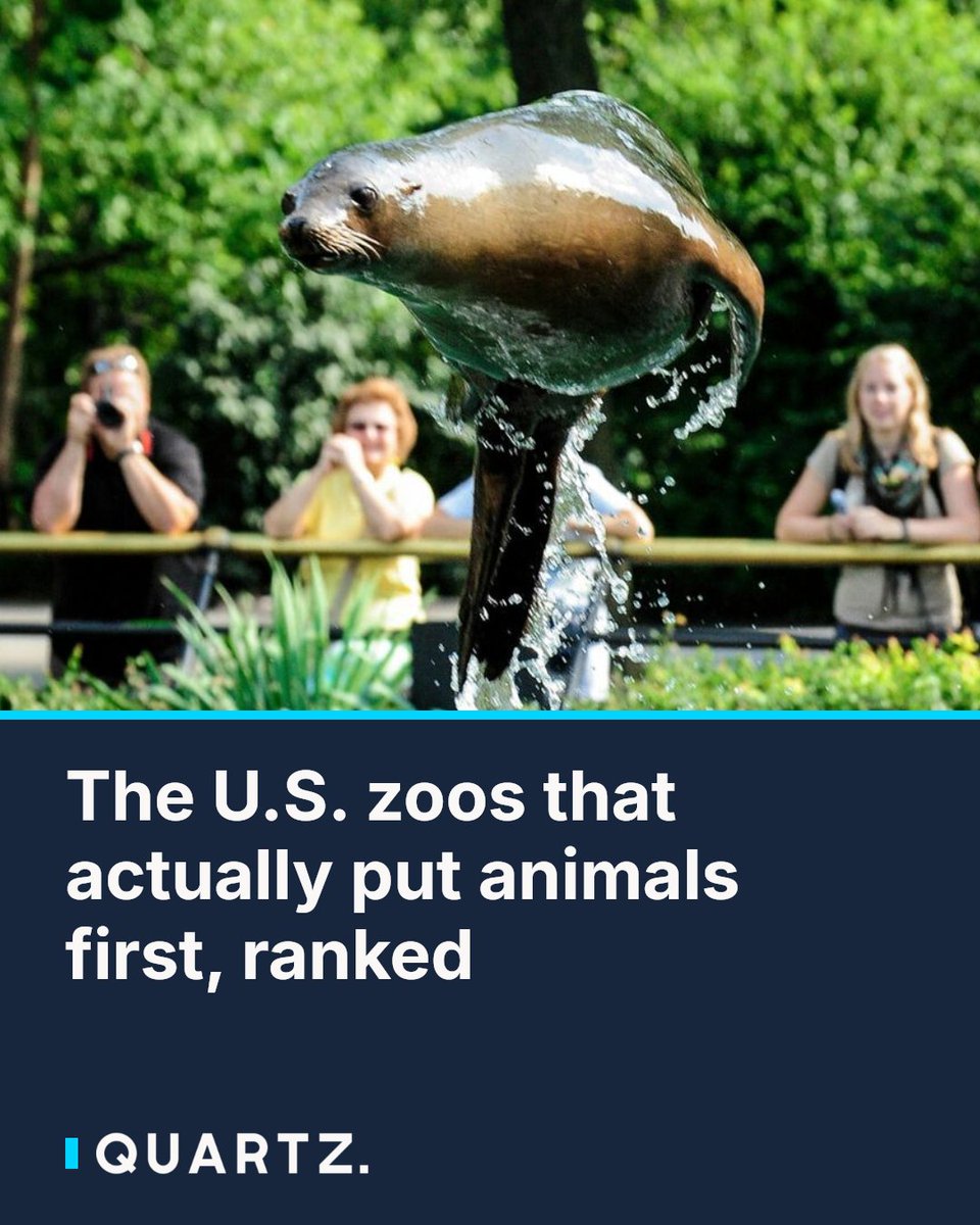 qz's tweet photo. The U.S. zoos that actually put animals first, ranked
Not all zoos are created equal — the best ones fund field research, run endangered-species breeding programs, and build habitats where animals can actually behave like animals. Here are th
#BestZoos #HenryDoorlyZoo #BronxZoo https://t.co/ADKMsPJNhy