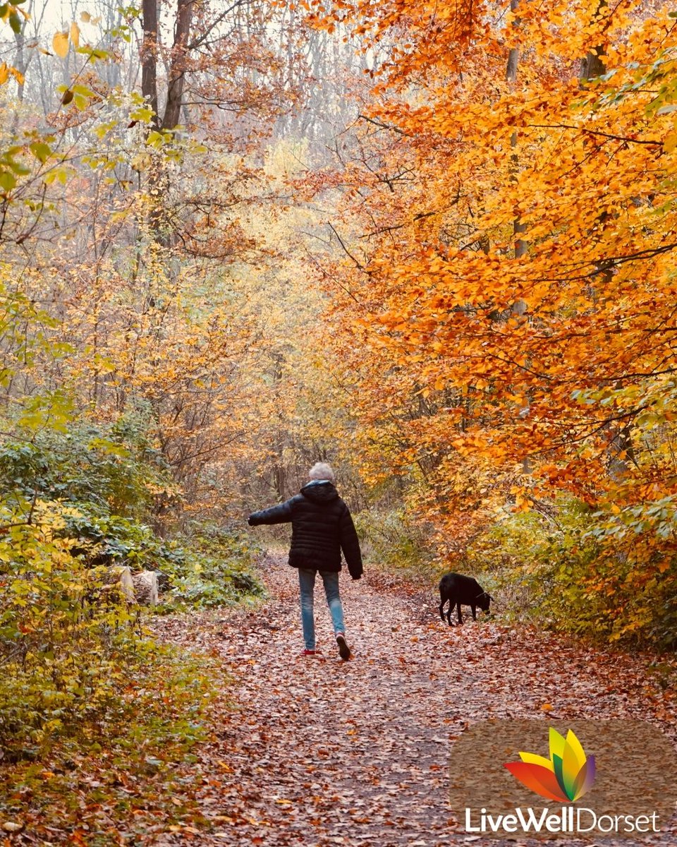 LWDorset's tweet photo. Take a mindful moment as autumn arrives to reflect on your wellbeing and health goals for the upcoming season. Ahead of the weekend… plan a walk, take a moment to look at the new season rolling in or think about joining a new exercise class.
#autumn #newseason #activeweekend https://t.co/zlUFPKf9jk