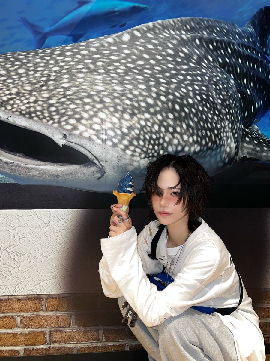 DeathCandy_yuui's tweet photo. ジンベイザメとアイスとボク https://t.co/C44JioIFBj